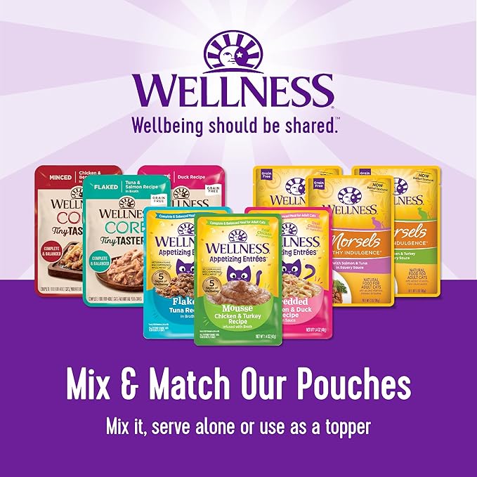 Wellness CORE Tiny Tasters Pate Adult Wet Cat Food, Natural, Protein-Rich, Grain Free, 1.75 Ounce Pouch, 12 Pack (Chicken & Turkey)