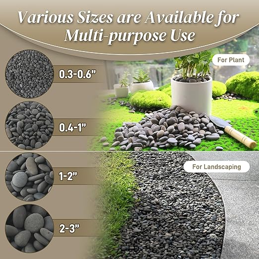 5 lbs Natural Mexican Beach Pebbles, 1-2 Inch Large River Rocks for Plants and Landscaping, Decorative Stone for Fish Tank Aquarium Fountain Garden Paving Walkways Pathways Backyard, Grey