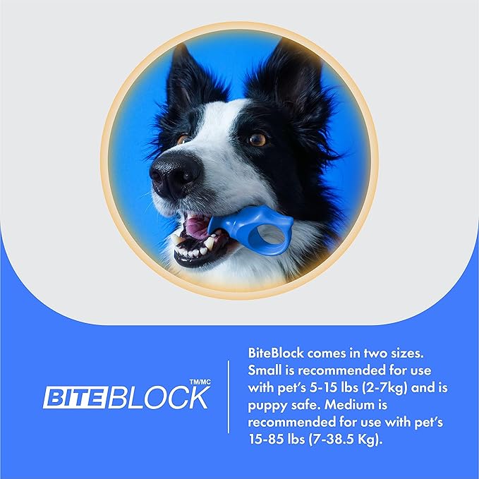Pet Toothbrushing Assistant for Puppies' Dogs and Cats Allows You to Brush Your pet’s Teeth Without Constantly Worrying About Getting Bitten. (Blue, Small)