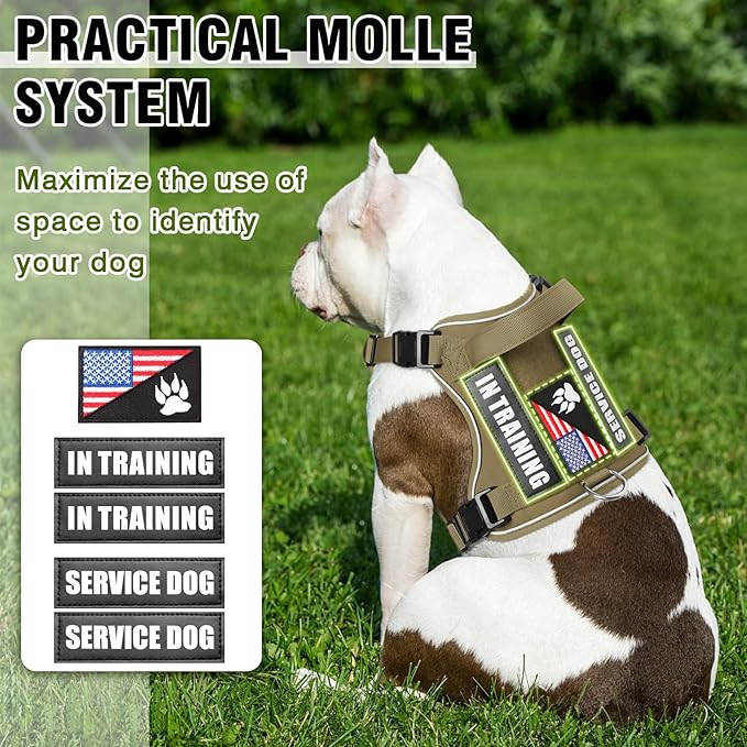 WINSEE Service Dog in Training Harness with 5 PCS Patches, Reflective Tactical Dog Vest Harness, Adjustable Soft Oxford Pet Harness with Easy Control Handle, Hook & Loop Panels for Walking Hiking