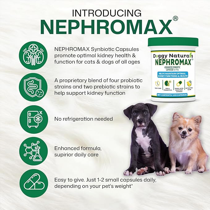 NEPHROMAX™ Kidney Support Supplement Cats 360