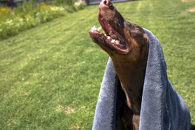 Devil Dog Premium Pet Drying Towel, Ultra-Soft, Highly Absorbent Microfiber Bath Towel for Dogs, Cats, and Other Animals - Gray, Large 24" x 35" 1200GSM 80% 20% Blend