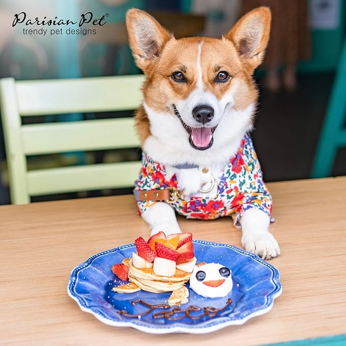 Parisian Pet Floral Dog Shirt - 100% Cotton Summer Clothes - Stylish Beach Outfit - Hook and Loop Closure - Machine Washable - XL