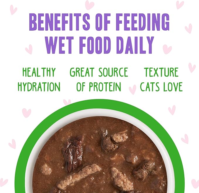 Weruva B.F.F. OMG - Best Feline Friend Oh My Gravy!, Tuna & Lamb Lights Out with Tuna & Lamb, 2.8oz Can (Pack of 12)