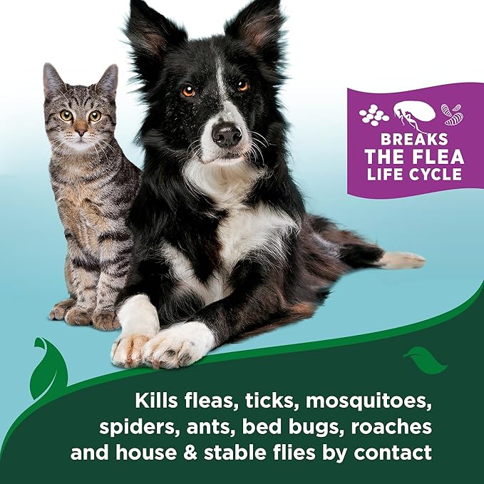 Vet's Best Natural Cat Flea & Tick Home Spray – Plant-Based Cotton Spice Mist for Cats – Indoor Flea Control with Natural Oils – Gentle Scented Spray for Home Use – Made in USA, 32 oz, 2-Pack