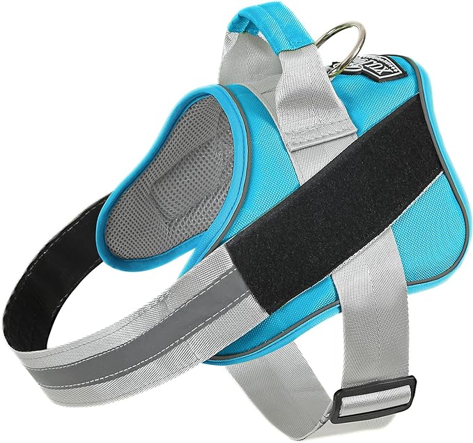 Bolux Dog Harness, No-Pull Reflective Dog Vest, Breathable Adjustable Pet Harness with Handle for Outdoor Walking - No More Pulling, Tugging or Choking (OceanicBlue, Small (Pack of 1))