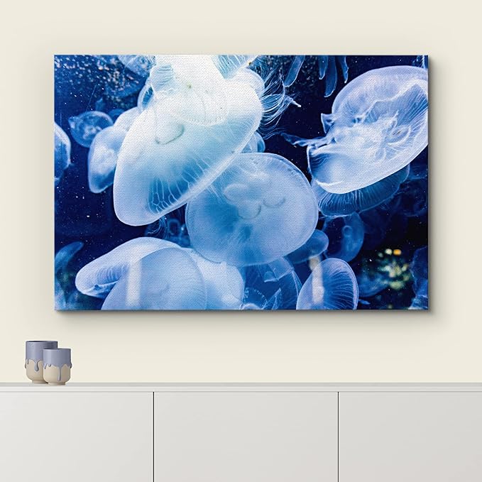 wall26 Canvas Print Wall Art Translucent X-Ray Tropical Ocean Jellyfish Nature Animals Photography Realism Rustic Scenic Landscape Wilderness Earth for Living Room, Bedroom, Office - 32"x48"