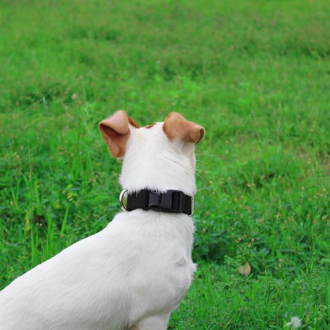 Mikivery Nylon Dog Collar with Quick Release Buckle Soft Adjustable Sturdy for Small Medium Large Dogs Black,L