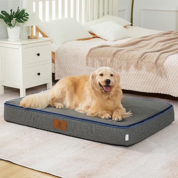 Orthopedic Memory Foam XXL Dog Bed - 6" Thick Beds for Extra Large Sized Dog - Waterproof Removable Washable Cover & Wrap-Around Zipper - Ultimate Comfort & Easy Maintenance, Dary Grey
