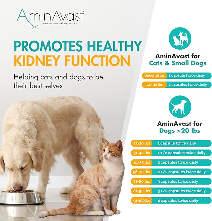 AminAvast Small Dogs & Cat Kidney Support - Promotes Healthy Kidney Support in Cats & Small Dogs - 300mg, 60 Capsule
