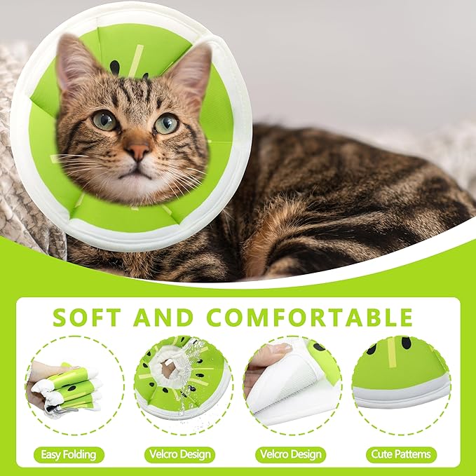 Soft Adjustable Cat Cone Collar, Comfortable Recovery Collar for Cats After Surgery (Kiwifruit, Small)