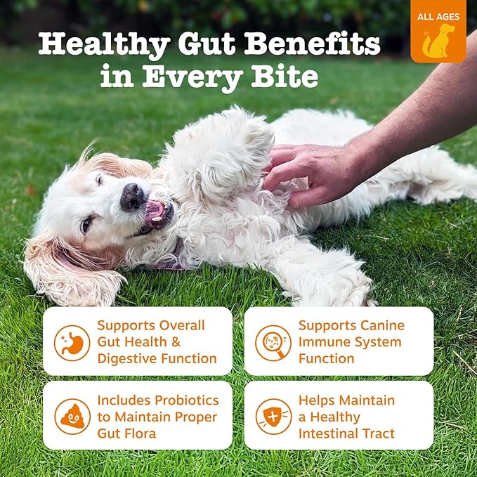 Zesty Paws Probiotics for Dogs - Digestive Enzymes for Gut Flora, Digestive Health, Diarrhea & Bowel Support - Clinically Studied DE111 - Dog Supplement Soft Chew for Pet Immune System - Pumpkin