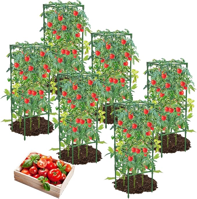 6 Pack Tomato Cages, 41.7" H Square Tomato Plant Stakes Support Cages Trellis for Garden Climbing Vegetables Flowers Fruits,Extra Bold