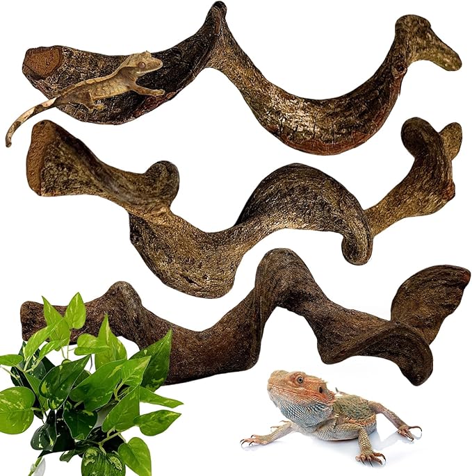 BNOSDM 3Pcs Reptile Climbing Branches Decor,Snake Climbing Branch,Gecko Climb Wood,Lizard Forest Branch,Tank Habitat Tree Trunk Decorations for Bearded Dragons,Chameleons,Spider,Frogs (M)