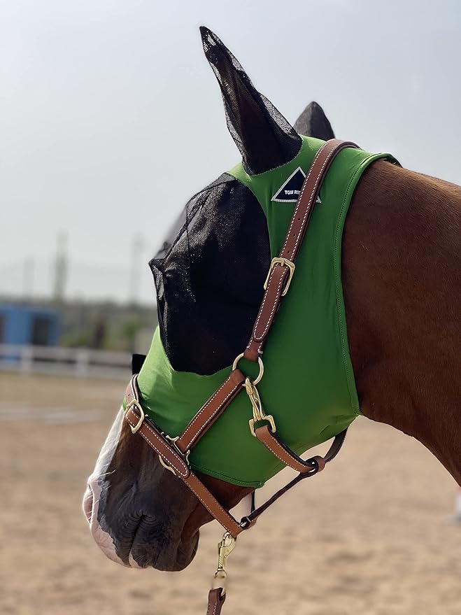 Horse Fly Mask Super Comfort Horse Fly Mask Elasticity Fly Mask with Ears We Only Make Products That Horses Like… (Hunter Green, M)