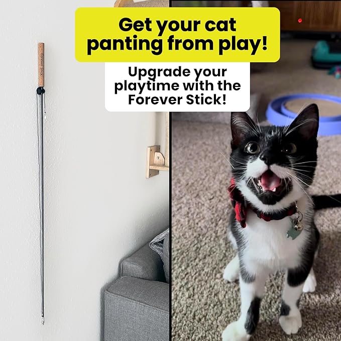 Forever Stick 2 Pack - The Unbreakable Cat Toy Wand, Extra Long Durable Interactive Cat Toy for Indoor Cats, Feather Kitten Toys for Bored Indoor Adult Cats, Bird Teaser Cat Accessories