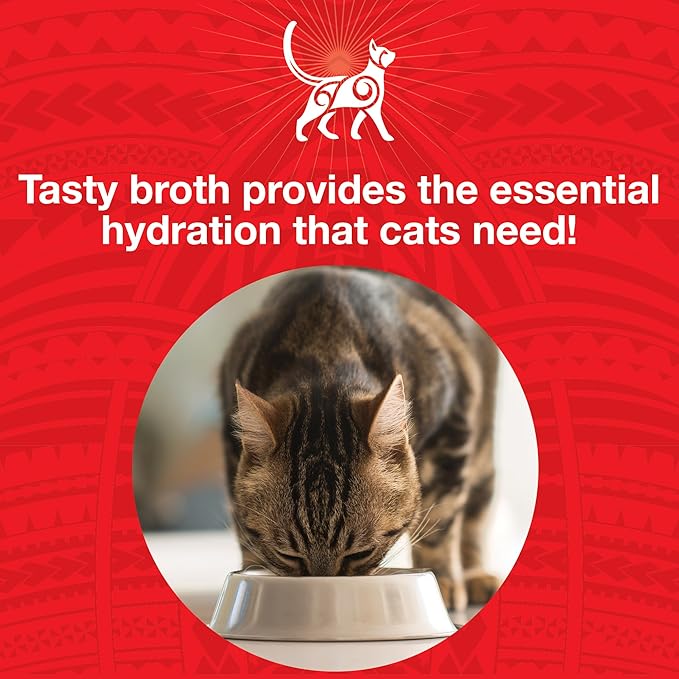 KOHA Pure Shreds Beef Entrée for Cats, Single Meat Wet Cat Food, 2.8oz Cans (Pack of 24)