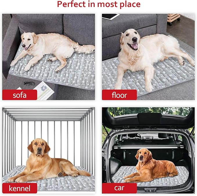 Dog Crate Mat (42" X 28") 2 Pack, Soft Dog Bed Mat with Cute Prints, Personalized Crate Pad, Anti-Slip Bottom, Machine Washable Kennel Pad, Grey