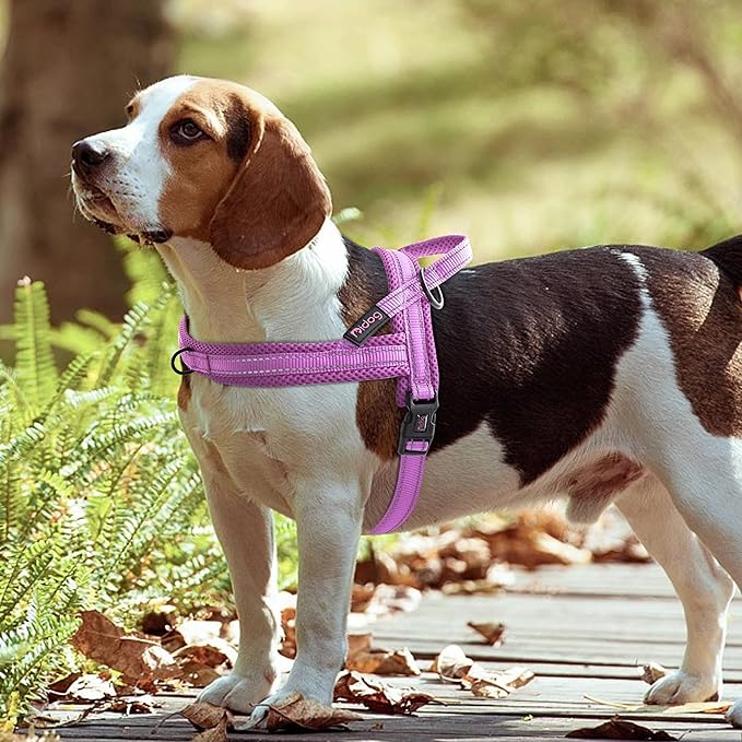 Didog No Pull Dog Harness with Soft Mesh Padded,Reflective & Quick Fit Light Weight Dog Strap Vest Harness,Easy for Walking Training (M:Chest 21-26", Purple)