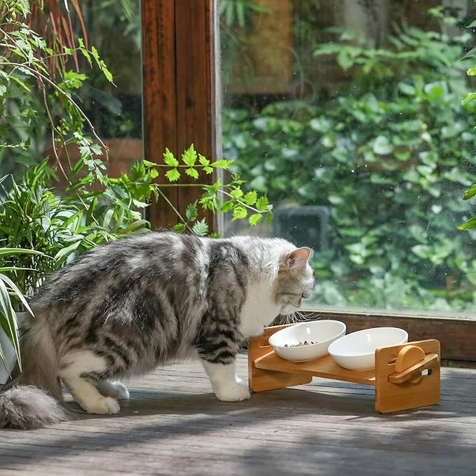 FUKUMARU Elevated Cat Ceramic Bowls, Small Dog 15° Tilted Raised Food Feeding Dishes, Solid Bamboo Water Stand Feeder Set for Cats and Puppy