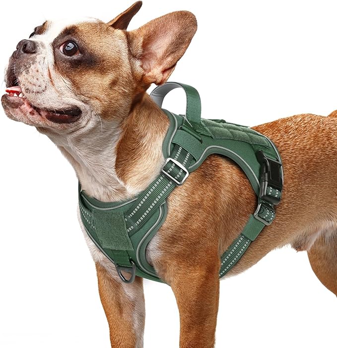 rabbitgoo Dog Harness Small Sized No Pull, Tactical Service Pet Vest with Molle and Control Handle, Adjustable and Reflective Military Harness for Easy Walking and Training, Green, S