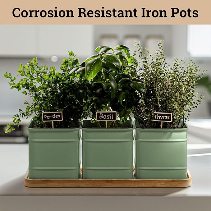 Herb Planter Indoor - 3 Iron Herb Pots with Drainage Holes, Varnished Bamboo Tray, Customizable Labels & Marker Pen - Indoor Herb Garden Planter - 3 Pots for Herbs - Inside Spice Garden - Basil Pot