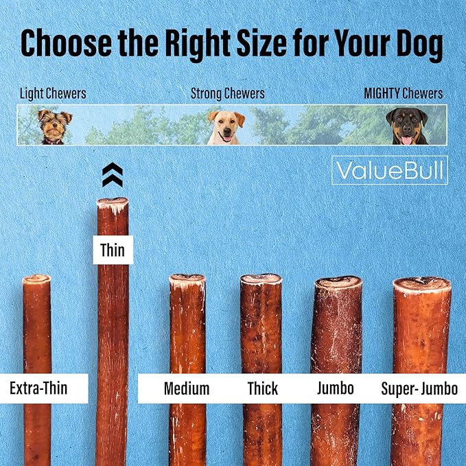 ValueBull Bully Sticks for Small Dogs, Thin 12 Inch, 50 Count - All Natural, Grass Fed, Single Ingredient, Long Lasting Dog Treats