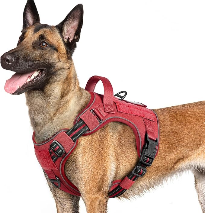 rabbitgoo Dog Harness for Large Dogs No Pull, Tactical Service Pet Vest with Molle and Control Handle, Adjustable and Reflective Military Harness for Easy Walking and Training, Red, L