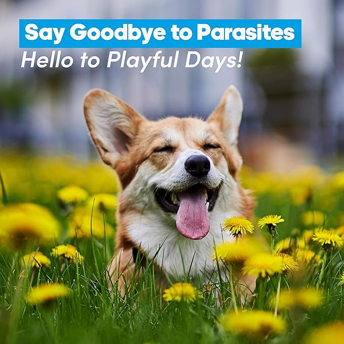 Say Good Bye to Tapeworms in Dogs and Cats with GiarCidia Prazi for 60 MLS Liquid - Include 3 ml Dropper with Cap