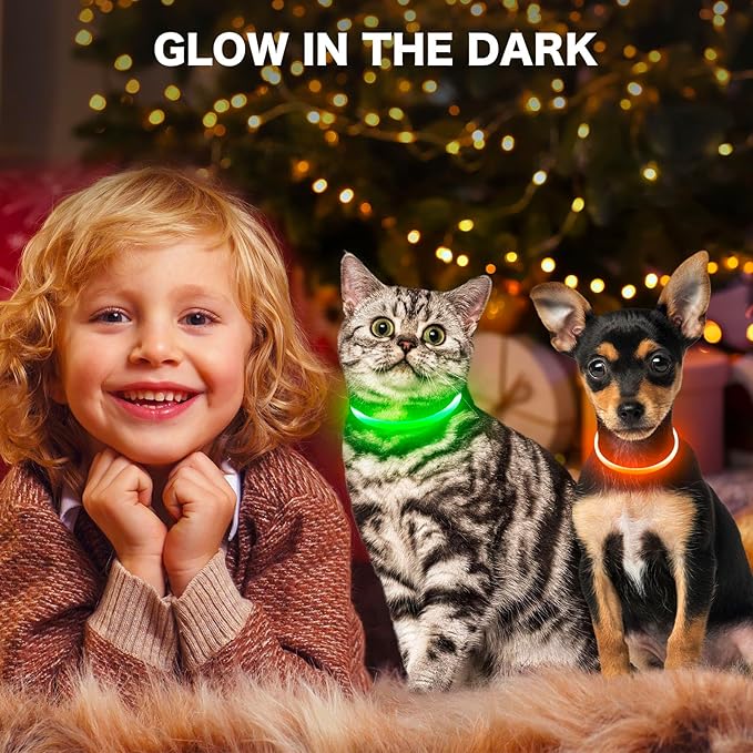 BSEEN Light Up Dog Collar - Rainproof LED Dog Collar Rechargeable - TPU Cuttable Glowing Pet Collar for Small Puppies& Cats, Safety Dog Lights for Night Walking& Camping (XS- Orange 40cm)