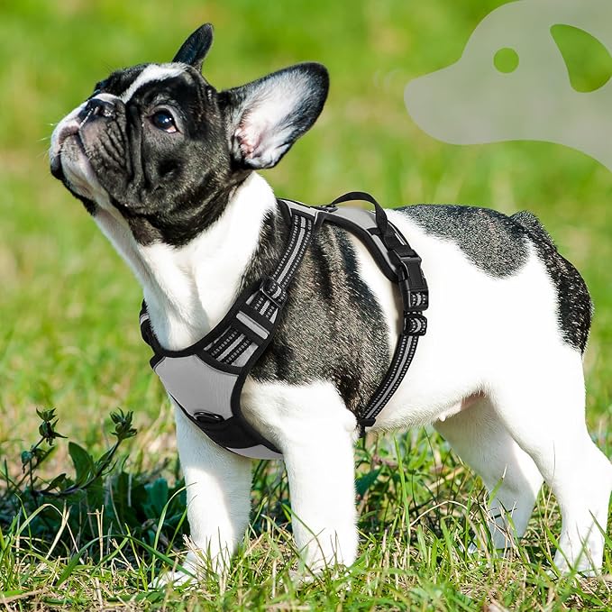 Eagloo Dog Harness Small Sized Dog, No Pull Service Vest with Reflective Strips and Control Handle, Adjustable and Comfortable for Easy Walking, No Choke Pet Harness with 2 Metal Rings, Grey, S