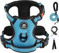 IVY&LANE No Pull Dog Harness for Large Dogs, Dog Vest Harness with Leash, Safety Belt and Storage Strap, Fully Adjustable Harness, 360° Reflective Strip, Soft Handle (Blue, L)
