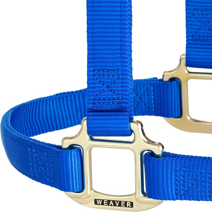 Weaver Equine Nylon Horse Halter, Triple-Ply Cheek Design, Original Non Adjustable Halters for Horses, Equine Tack,Average Size, Black