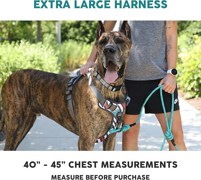 Embark Adventure Dog Harness, Reflective Trim XL Dog Harness for Extra Large Dogs No Pull - Military Grade Nylon, 2 Leash Clips & Gel Lined Handle.