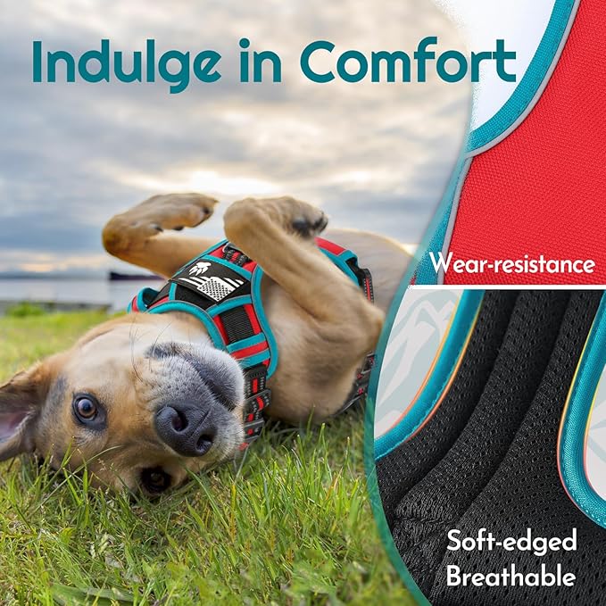 Eagloo Dog Harness Small Sized, Easy Wearing with 3 Buckles, Adjustable No Pull Pet Harness with 2 Rings for Walking, No Chock Reflective Soft Padded Vest with Control Handle, Red & Teal, S