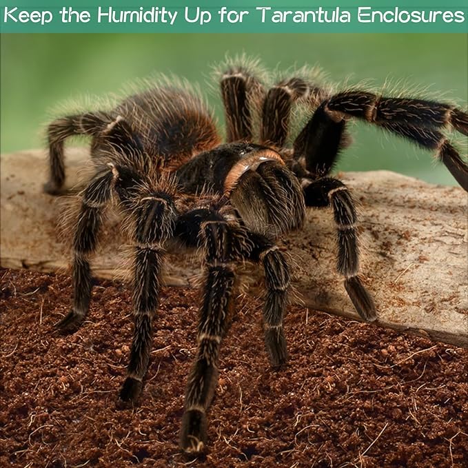 Halatool 8Pack Compressed Coconut Fiber Substrate for Reptile Natural Premium Coconut Husk Substrate Terrarium Bedding for Tortoises Beard Dragon Leopard Gecko Snake Tarantula Worm Bins