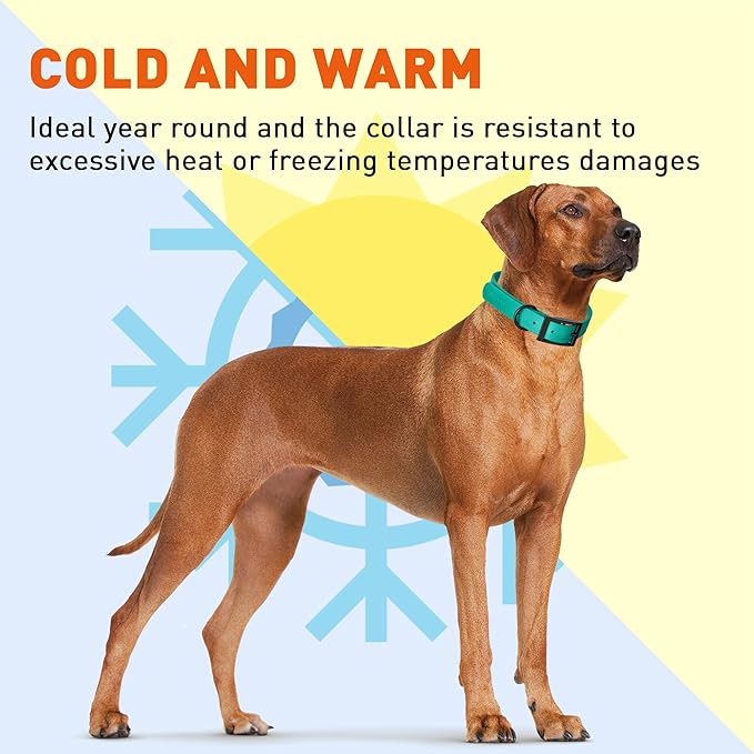 Dogline Biothane Waterproof Dog Collar Strong Coated Nylon Webbing with Black Hardware Odor- Proof for Easy Care Easy to Clean High Performance Fits Small Medium or Large Dogs, Teal