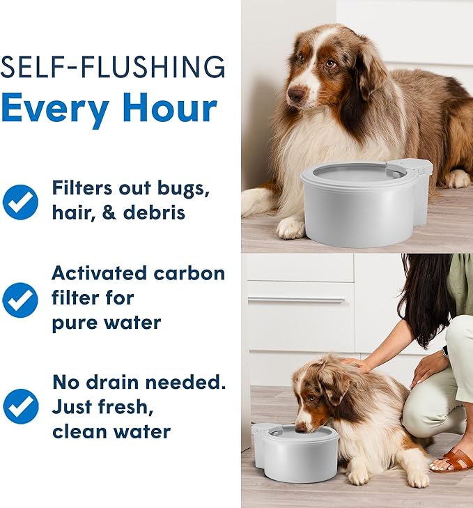 Always Full® 7" Pet Water Bowl and Wall Unit Bundle – Self-Refilling, Clean Filtered Water, Easy Home Connection, App-Enabled Hydration Tracking, Cat and Dog Water Bowls