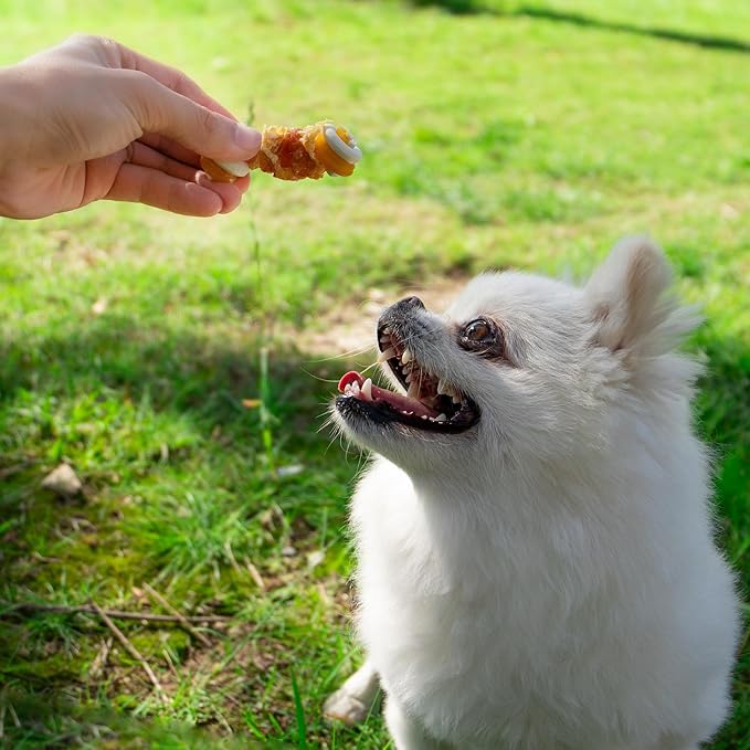 MON2SUN 2.5" Rawhide Free Dog Treats with Mixed Vegetables, Chicken Wrapped Mini Knot Bones for Small Dogs, Healthy Snacks for Balanced Nutrition, 21.2oz