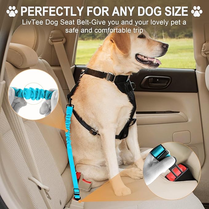 LivTee Dog Seat Belt for Car, Retractable Pet Safety Harness, Adjustable Nylon Dog Seatbelt Leash, Comfortable Dog Accessories for Vehicles (Teal-1PCS)