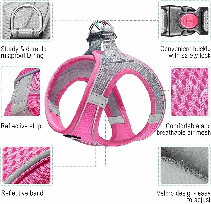 haapaw Dog Harness with Leash Set, No Pull Adjustable Reflective Step-in Puppy Harness with Thickened Padded Vest for Extra-Small/Small Medium Dogs