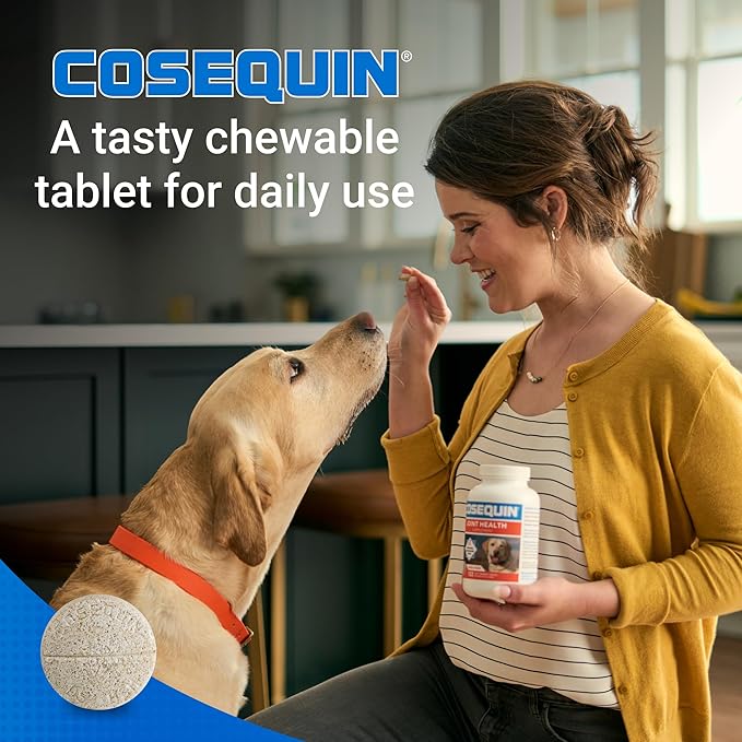 Nutramax Cosequin for Dogs Joint Health Supplement, Contains Glucosamine for Dogs, Plus Chondroitin and MSM, Supports Healthy Joints, For All Breeds and Sizes, Chewable Tablets, 132 Count