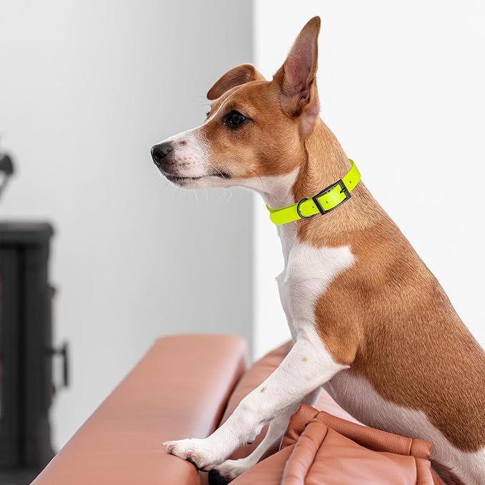Dogline Biothane Waterproof Dog Collar Strong Coated Nylon Webbing with Black Hardware Odor- Proof for Easy Care Easy to Clean High Performance Fits Small Medium or Large Dogs, Safety Yellow