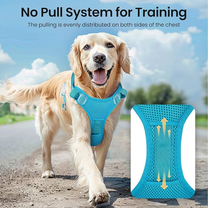 Light Up Dog Harness,Reflective Pet Harness Rechargeable,Led Dog Vest for Night Walking,Adjustable Safety Vest for Small Medium Large Dogs-No Pull,Blue,S