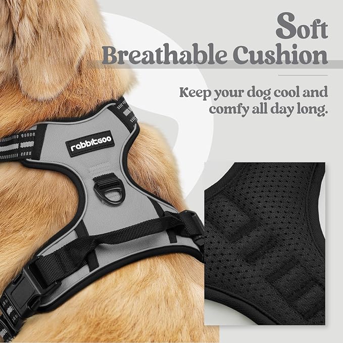 rabbitgoo Dog Harness No Pull with 2 Leash Clips, Adjustable Soft Padded, Reflective Oxford No Choke Pet Vest with Easy Control Handle for Large Dogs, Grey, XL