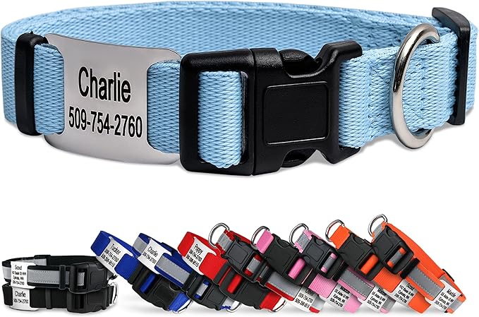 GoTags Personalized Dog Collar with Nameplate, Adjustable Dog Collar with Custom Engraved Slide On Pet ID Tag in Stainless Steel, Silent, No Noise Dog Tag (Light Blue, Medium)