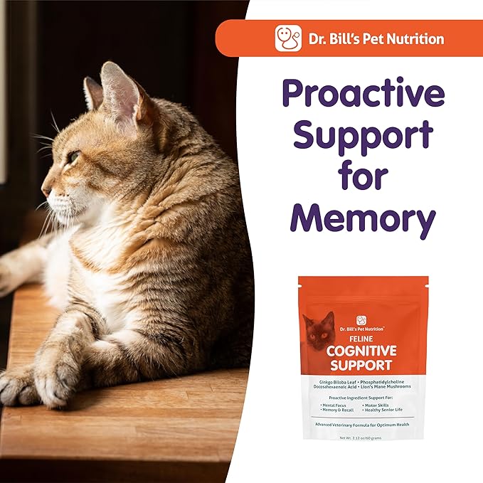 Dr. Bill's Feline Cognitive Support | Memory Support Supplement for Cats | Pet Supplement | Contains Gingko Biloba, L-Carnosine, Vitamin B-12, L-Glutamine, L-Tyrosine, and DHA