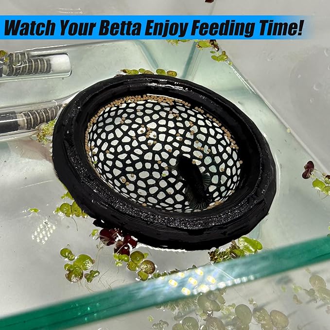 Aquarium Floating Betta Fish Skins, Betta or Shrimp Feeder, Cave and Hammock, Small Fish Feeding Rings, Aquarium Hiding Feeding Decorative Accessories (Green)