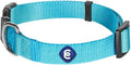Blueberry Pet Essentials X-Small Dog Collar in Turquoise | Adjustable & Eco-Friendly Durable Nylon Strap | Classic Collar for X-Small Dogs, Boy & Girl Pets