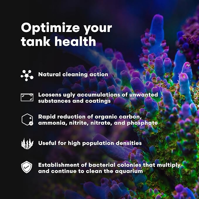 Brightwell Aquatics MicroBacter Clean - Microbial Culture & Enzyme Blend Fish Tank Cleaner - Cleans Live Rock Surfaces for Saltwater Fish Habitats - Aquarium Water Treatments, 16.9 fl oz